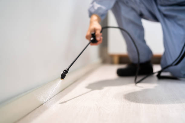 Licensed Fumigation Services service in Avon, MN - Nex Pest Control